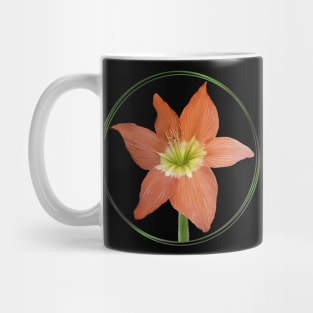 Amaryllis-flower - Flower in Kenya / Africa Mug